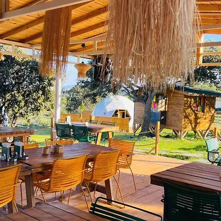 Lüks kamp alanı Dome