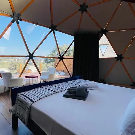 Dome *