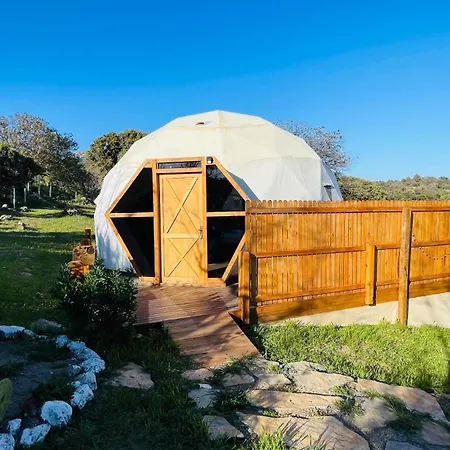 Dome