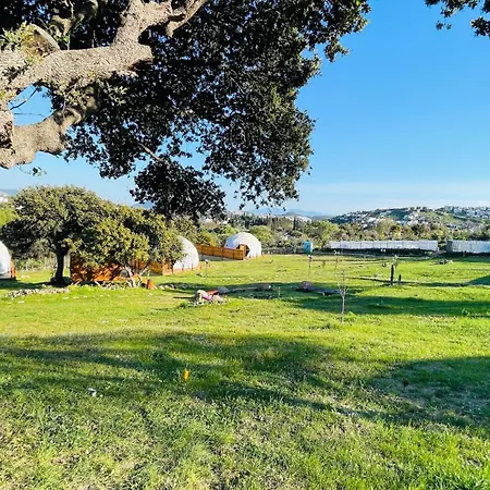 Dome Luxe tent