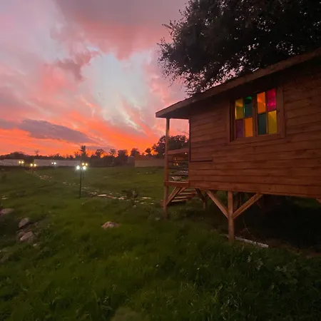 Dome Glamping *